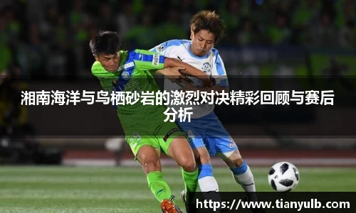 湘南海洋与鸟栖砂岩的激烈对决精彩回顾与赛后分析