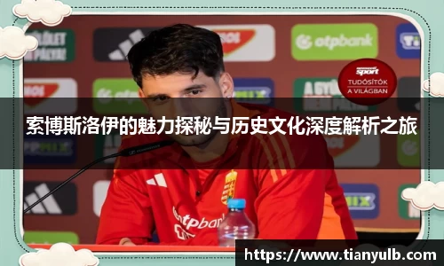 索博斯洛伊的魅力探秘与历史文化深度解析之旅