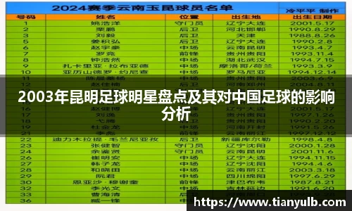 2003年昆明足球明星盘点及其对中国足球的影响分析